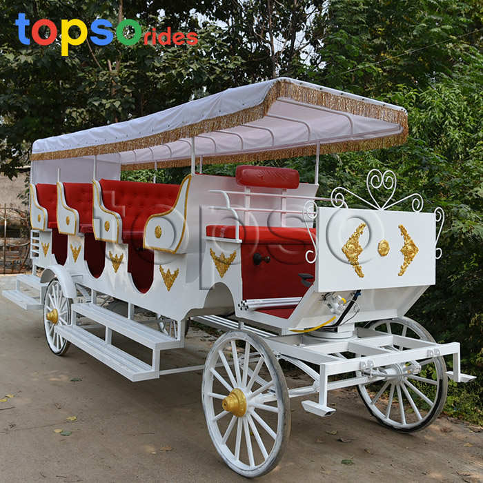 sightseeing horse carriage