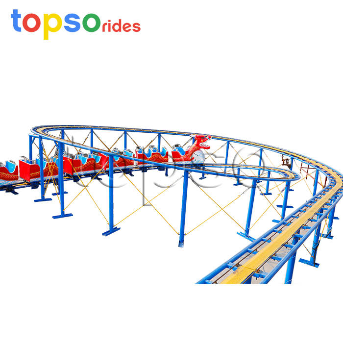 Roller Coaster Amusement Park Rides