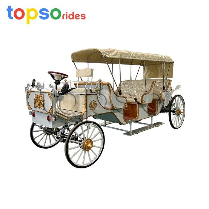 sight seeing horse carriage