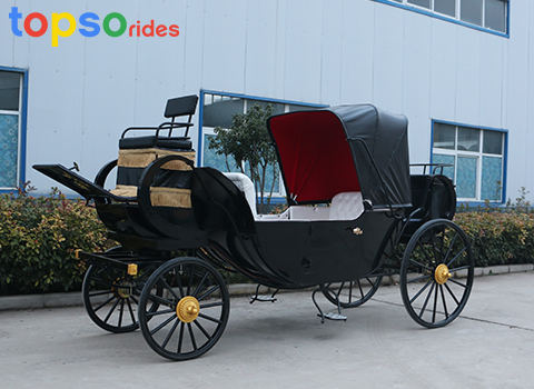 Horse Drawn Buggy