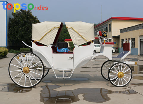 Horse Pulling Cart