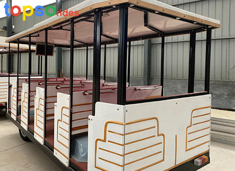 sightseeing train ride