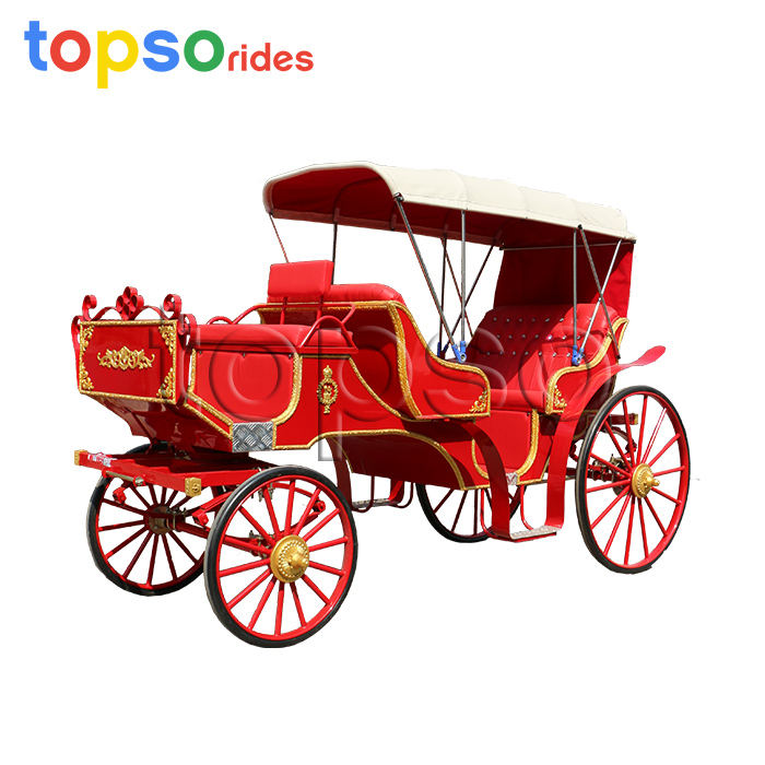 Sightseeing Horse Carriage