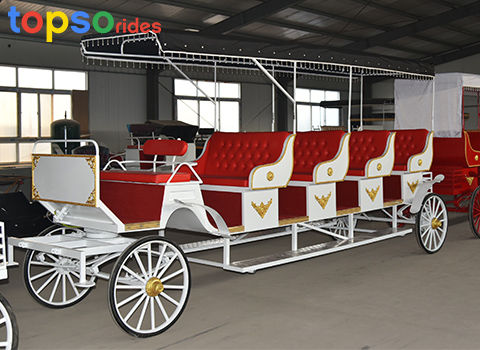 sightseeing horse carriage