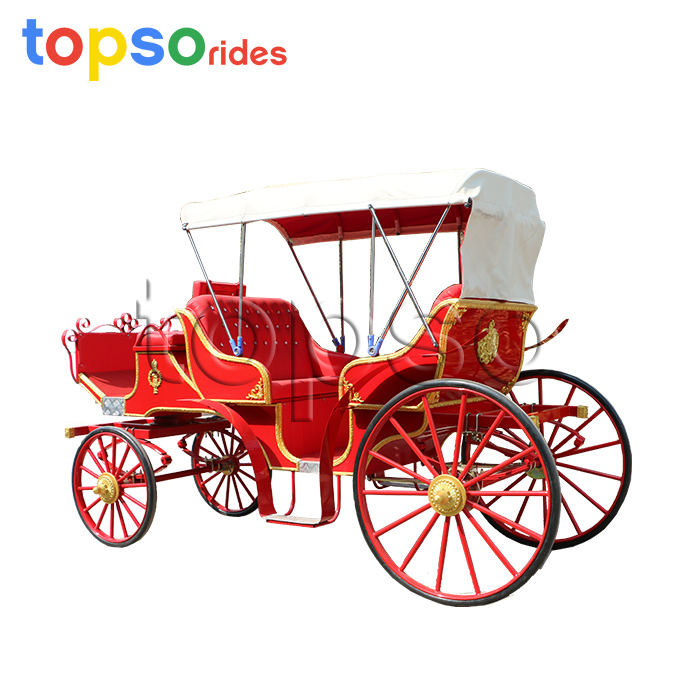 Sightseeing Horse Carriage