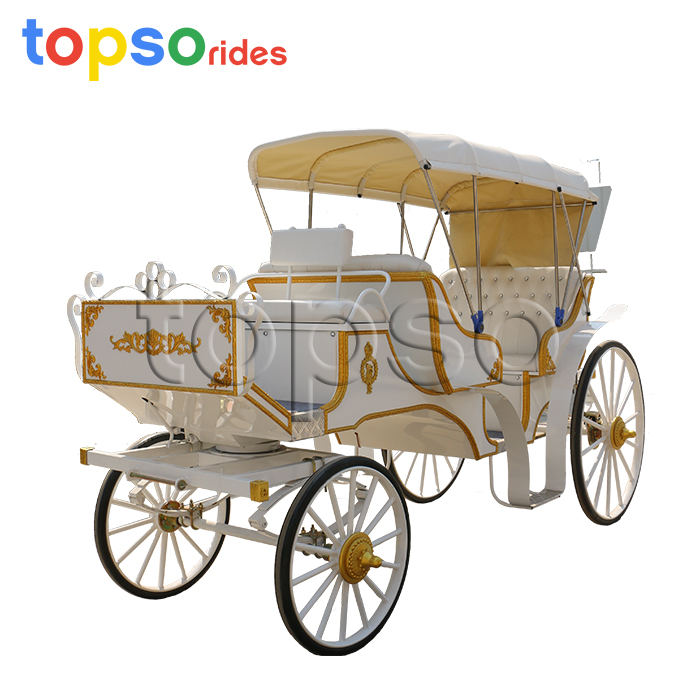 Sightseeing Horse Carriage